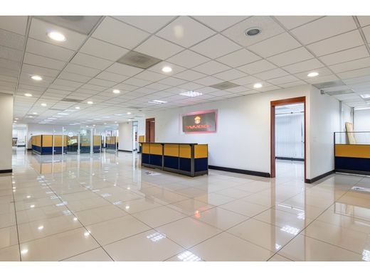 Ofis Medellín, Departamento de Antioquia