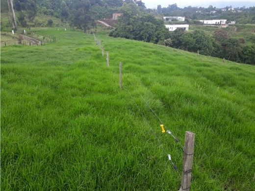 Farmhouse in Circasia, Quindío Department