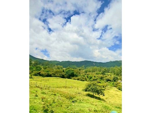 San Antonio del Prado, Medellínのカントリー風またはファームハウス