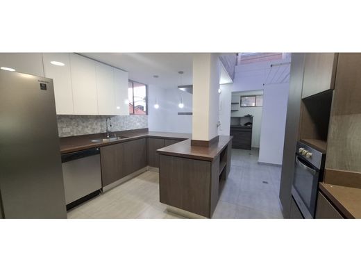 호화 저택 / 메데인, Medellín