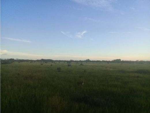 Ferme à San Martín, Departamento del Meta