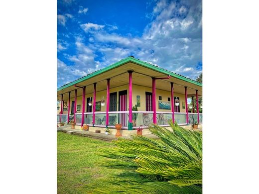 Otel Montenegro, Quindío Department