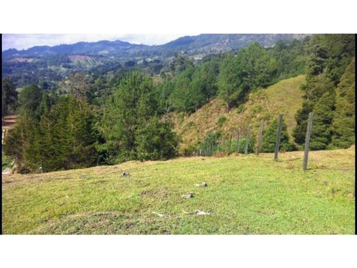 Участок, Rionegro, Departamento de Antioquia