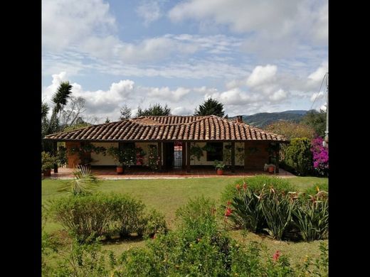 ﻣﻨﺰﻝ ﺭﻳﻔﻲ/ ﺑﻴﺖ ﻤﺰﺭﻋﺔ ﻓﻲ ميديلين, Medellín