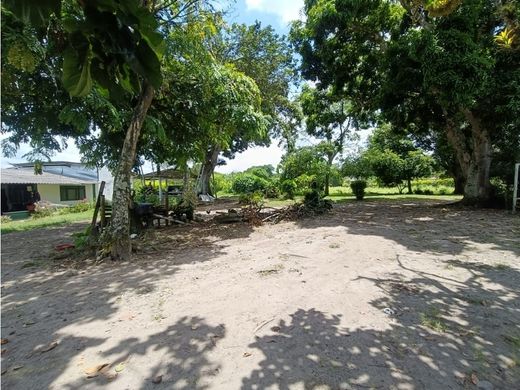 Rustik ya da çiftlik Montenegro, Quindío Department