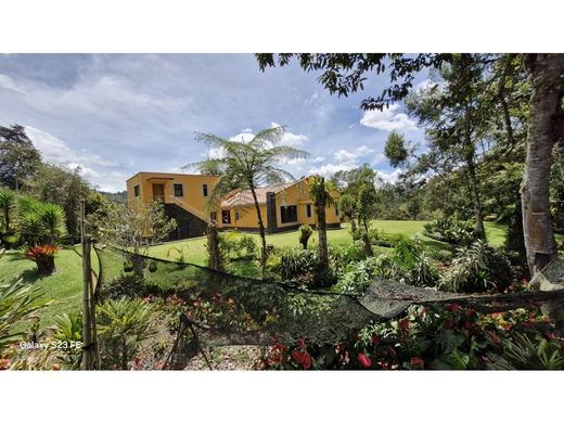 Köy evi Rionegro, Departamento de Antioquia