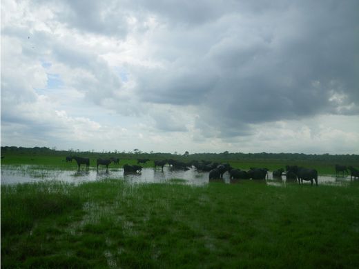 Сельский Дом, Cumaribo, Departamento del Vichada