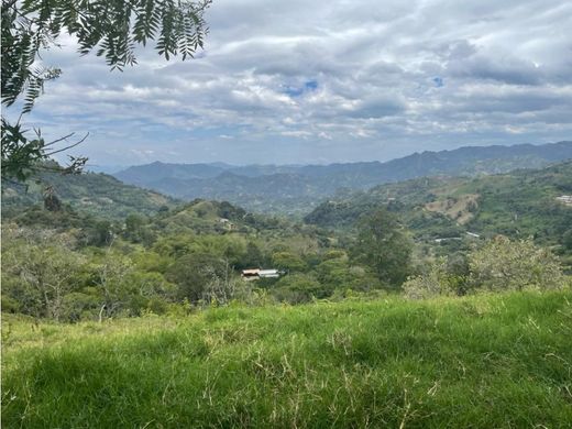 Arsa La Vega, Departamento de Cundinamarca