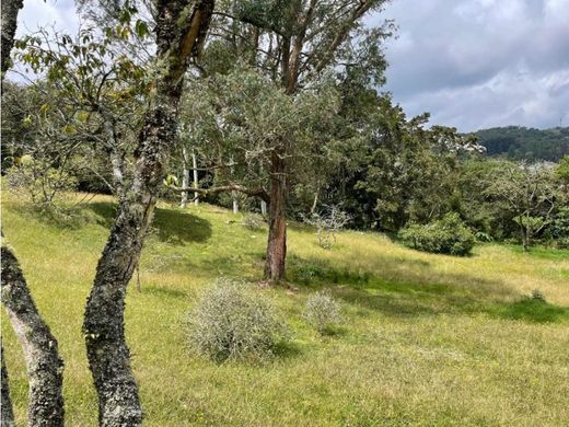 أرض ﻓﻲ Envigado, Departamento de Antioquia