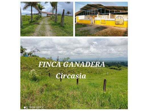 전원/농가 / Circasia, Quindío Department
