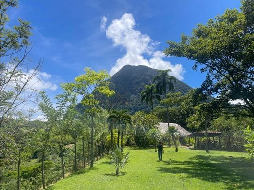 Quinta rústica - Venecia, Departamento de Antioquia