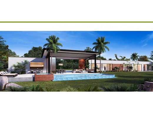 Propriété de campagne à La Tebaida, Quindío Department