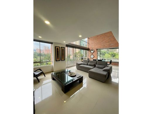 Daire Medellín, Departamento de Antioquia