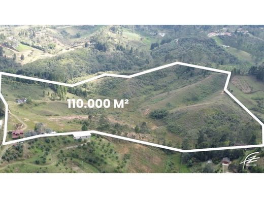 토지 / Guarne, Departamento de Antioquia