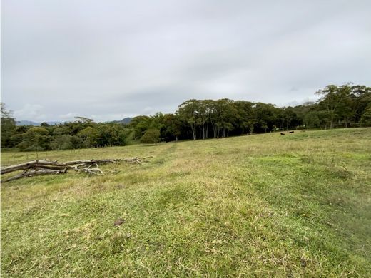 أرض ﻓﻲ Rionegro, Departamento de Antioquia