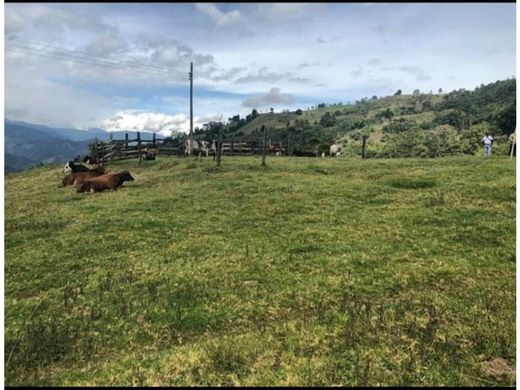 Cortijo o casa de campo en Génova, Fundación