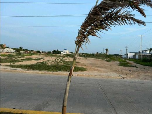 Teren w Riohacha, Departamento de La Guajira