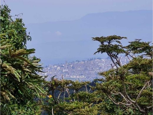 전원/농가 / Manizales, Departamento de Caldas