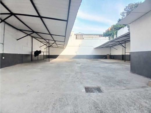 メデリン, Medellínの土地