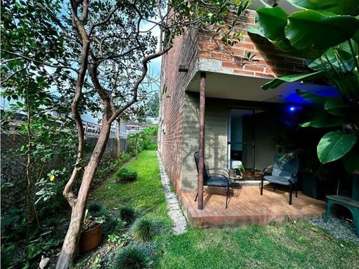 Daire Medellín, Departamento de Antioquia