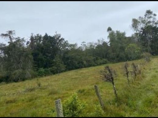 Αγροτεμάχιο σε Retiro, Departamento de Antioquia