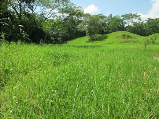 Ρουστίκ ή αγροικία σε Puerto Boyacá, Departamento de Boyacá