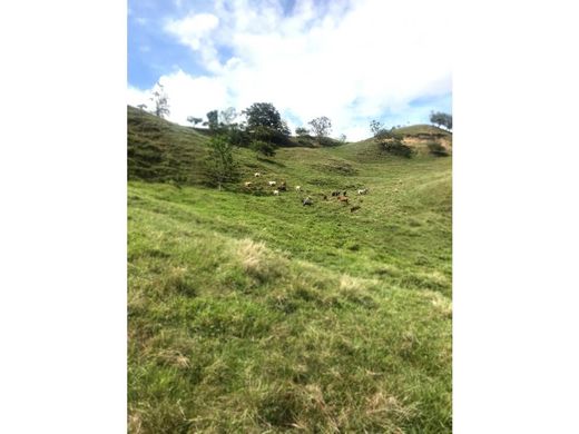 전원/농가 / Guadalajara de Buga, Departamento del Valle del Cauca