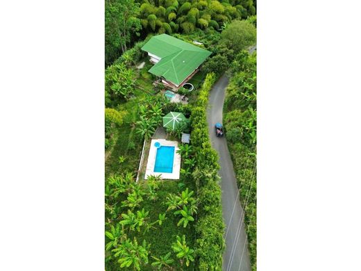 ﻣﻨﺰﻝ ﺭﻳﻔﻲ/ ﺑﻴﺖ ﻤﺰﺭﻋﺔ ﻓﻲ Quimbaya, Quindío Department