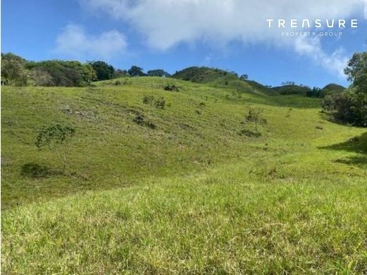 Сельский Дом, Armenia, Quindío Department