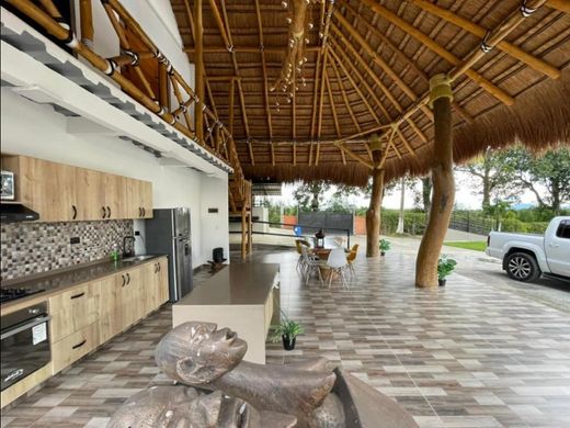 Boerderij in Pereira, Departamento de Risaralda