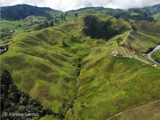 Rustico o casale a Donmatías, Don Matías
