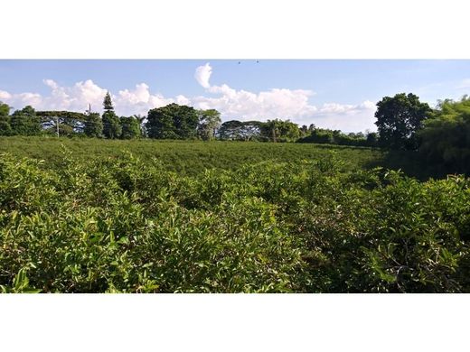 Terreno a La Tebaida, Quindío Department