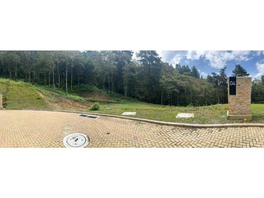 Arsa Envigado, Departamento de Antioquia