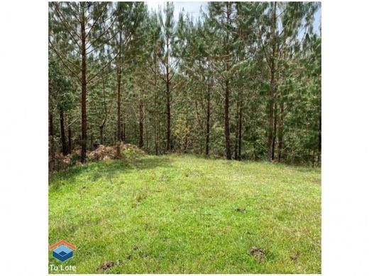 토지 / Carmen de Viboral, El Carmen de Viboral