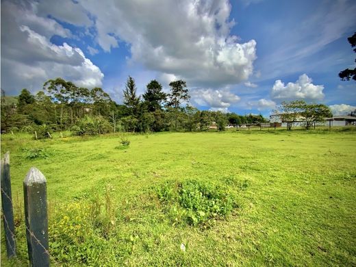 토지 / Guarne, Departamento de Antioquia