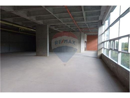 Biuro w Rionegro, Departamento de Antioquia