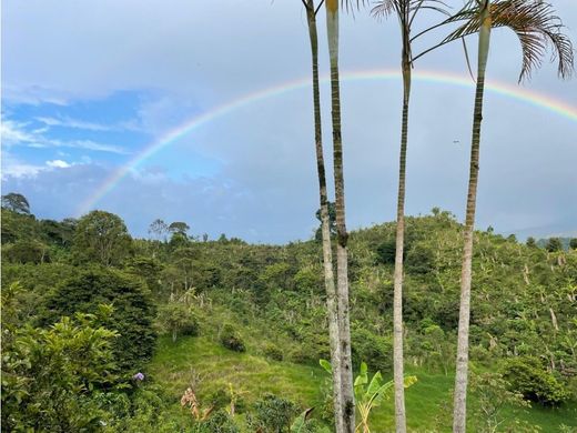 Ρουστίκ ή αγροικία σε Salento, Quindío Department