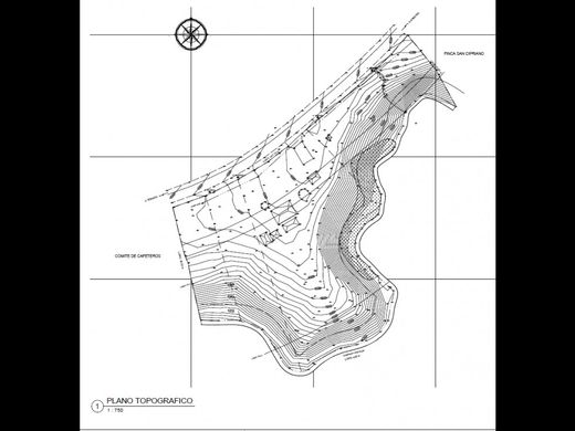Land in Armenia, Quindío Department