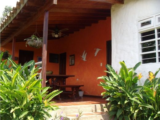 Ferme à Támesis, Departamento de Antioquia