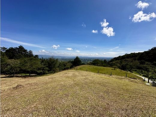 Terrain à Rionegro, Departamento de Antioquia