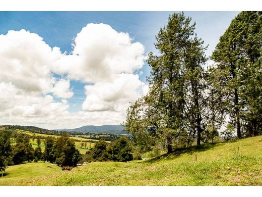 토지 / Envigado, Departamento de Antioquia