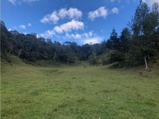Terreno - Medellín, Departamento de Antioquia