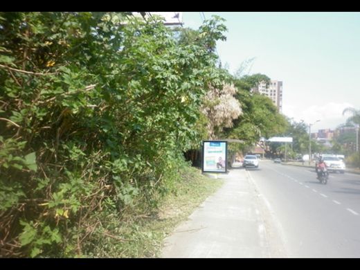 ‏קרקע ב  מדיין
, Medellín