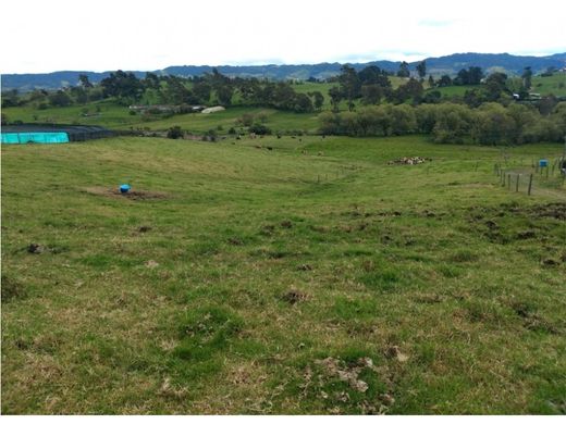 Rustykalny lub Wiejski w La Unión, Departamento de Antioquia