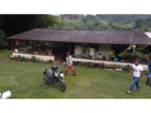 토지 / Guatapé, Departamento de Antioquia