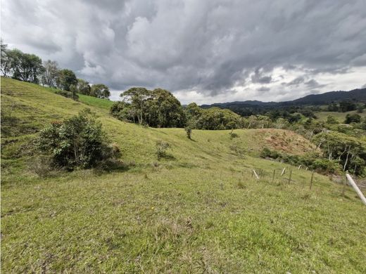 Grundstück in Rionegro, Departamento de Antioquia
