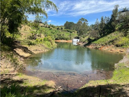 Teren w El Peñol, Yarumal