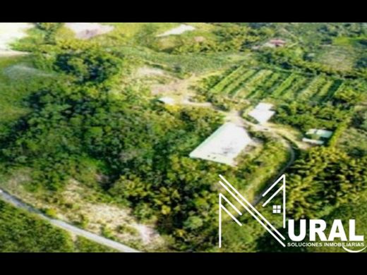 ‏בתים כפריים או חוות ב  Pereira, Departamento de Risaralda