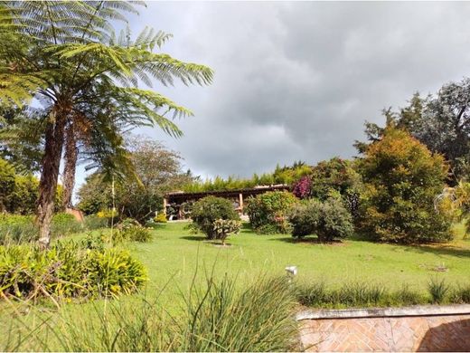 전원/농가 / La Ceja, Departamento de Antioquia