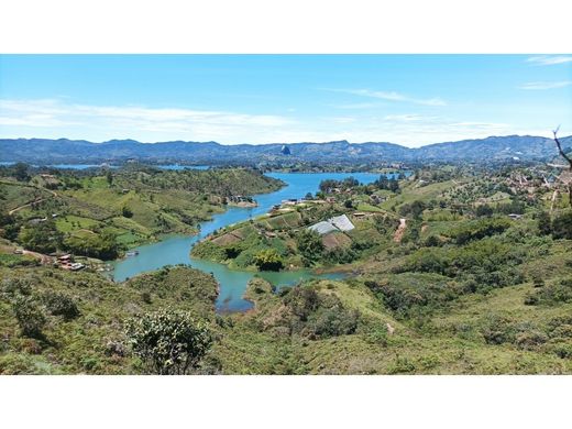 ‏קרקע ב  El Peñol, Yarumal